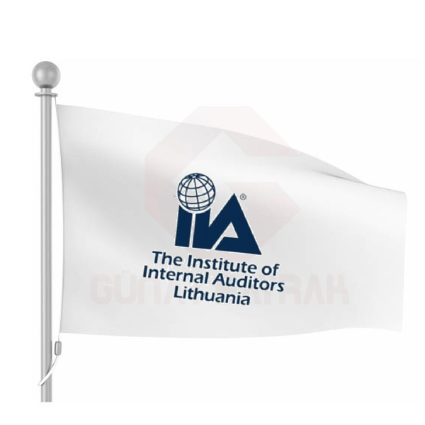 The Institute Of Internal Auditors Bayra