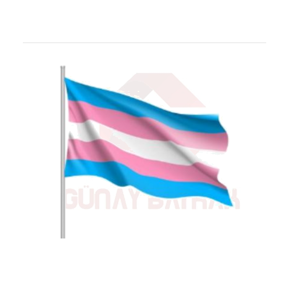 Lgbt Transseksel Bayra